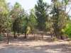DSCF9180.jpg